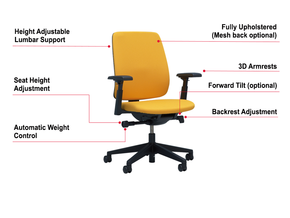 LIVELY chair features 