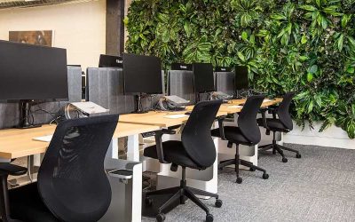 Six Simple Actions to Make Your Office Environmentally Friendly