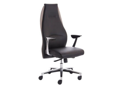 mien hight-back-leather executive office chair