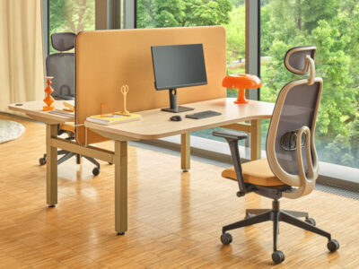 Ollie Ergonomic Chair