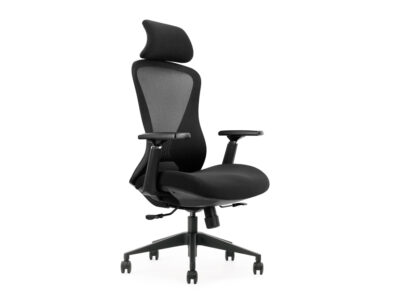 Barium Ergonomic Mesh Office Chair. 8-Shaped Backrest Structure