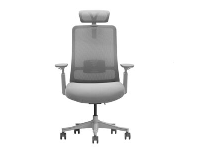 Calpe Ergonomic Office Posture Supporting Mesh Chair