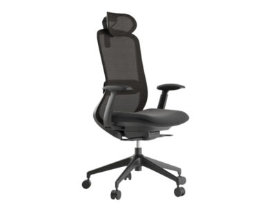 Erbi Task Operator Office Mesh Chair with Headrest