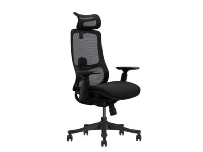 Lithium Ergonomic Office Mesh Chair