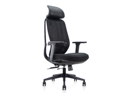 Nobrium Ergonomic Mesh Office Chair. Double Backrest Structure.
