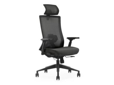 Rhod Ergonomic Office Mesh Chair.