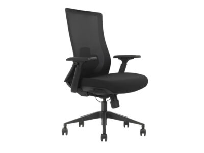 Rhod Ergonomic Office Mesh Chair. No Headrest.